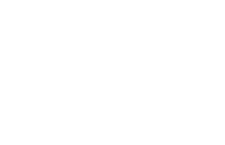 metafram
