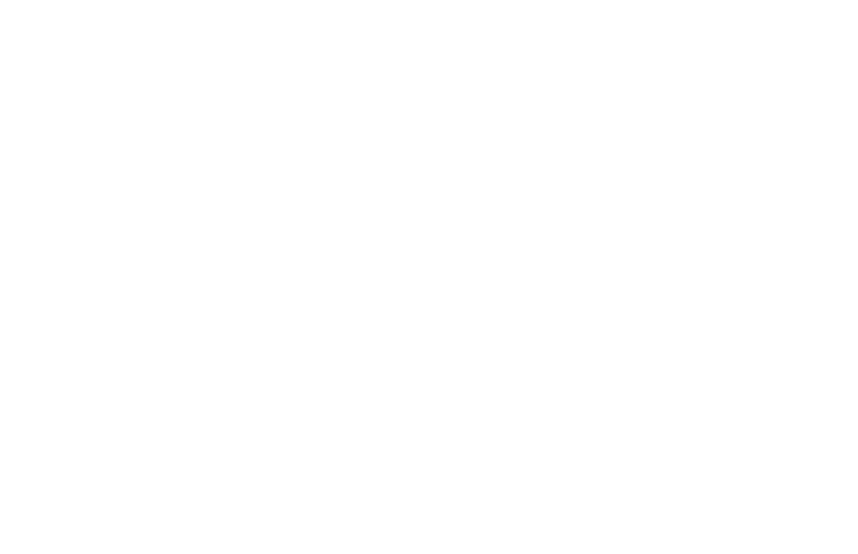 schema
