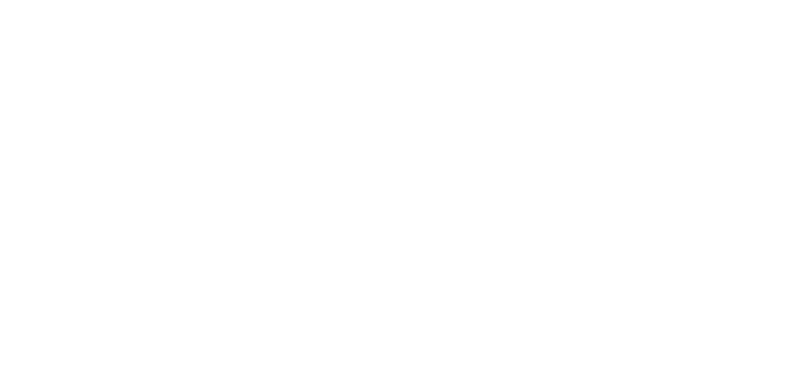 schema metafram
